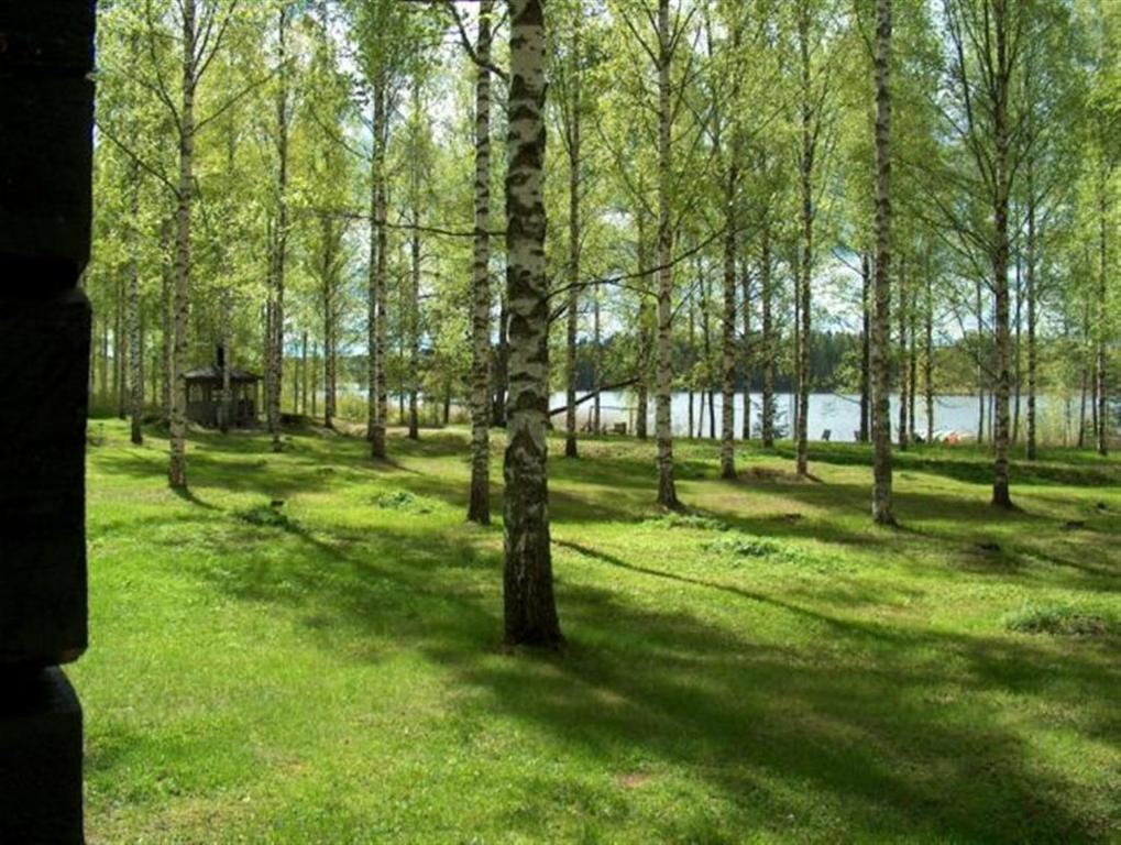 Aurantola Hotel Jaala Room photo